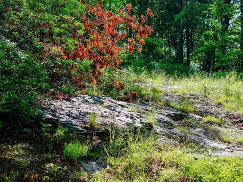 ME-1 Triple Farm Road Cashiers NC 28717