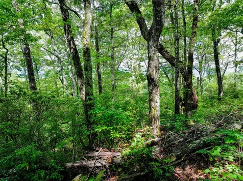 ME-1 Triple Farm Road Cashiers NC 28717