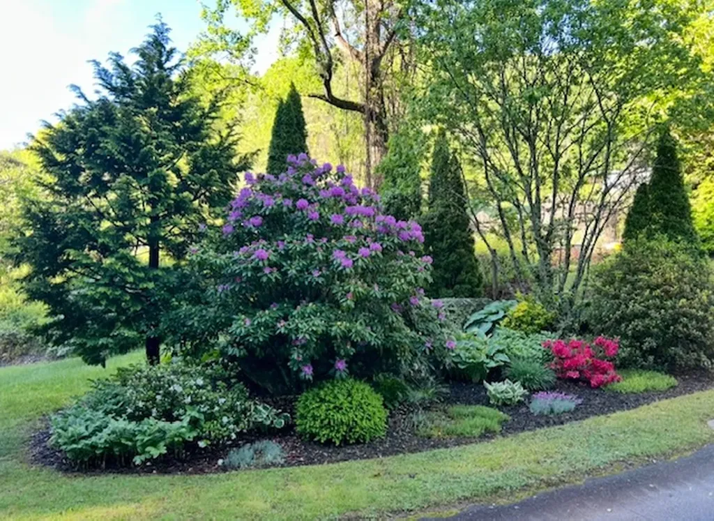 31 Bold Creek Trail Glenville NC 28736