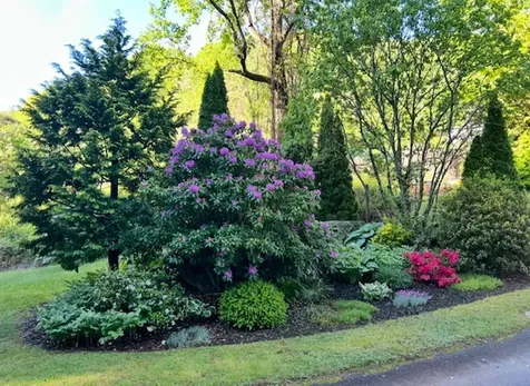 31 Bold Creek Trail Glenville NC 28736