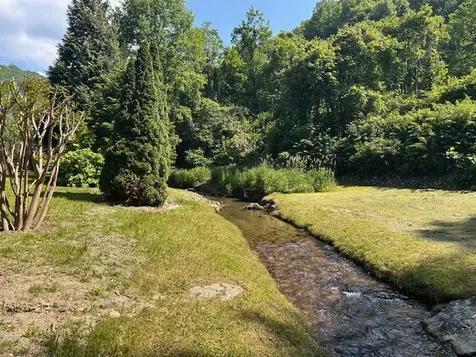 31 Bold Creek Trail Glenville NC 28736