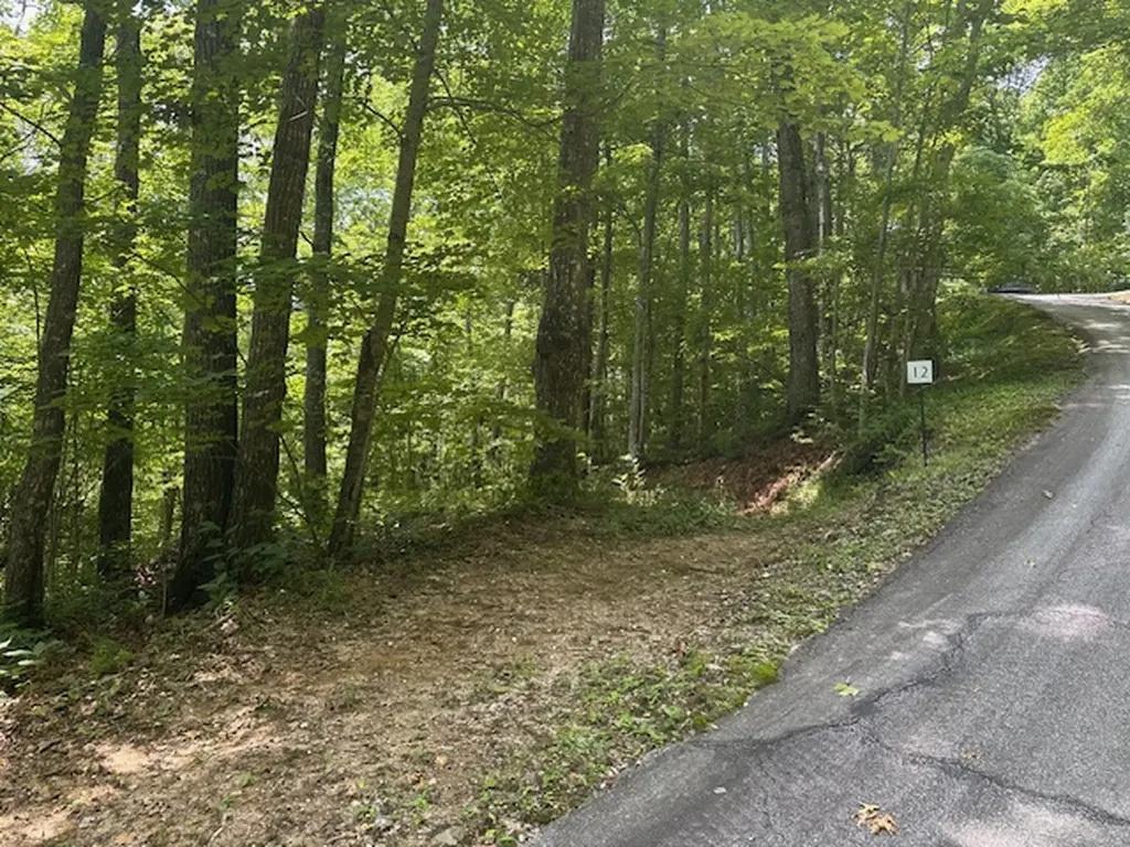 Tbd Bold Creek Trail Glenville NC 28736