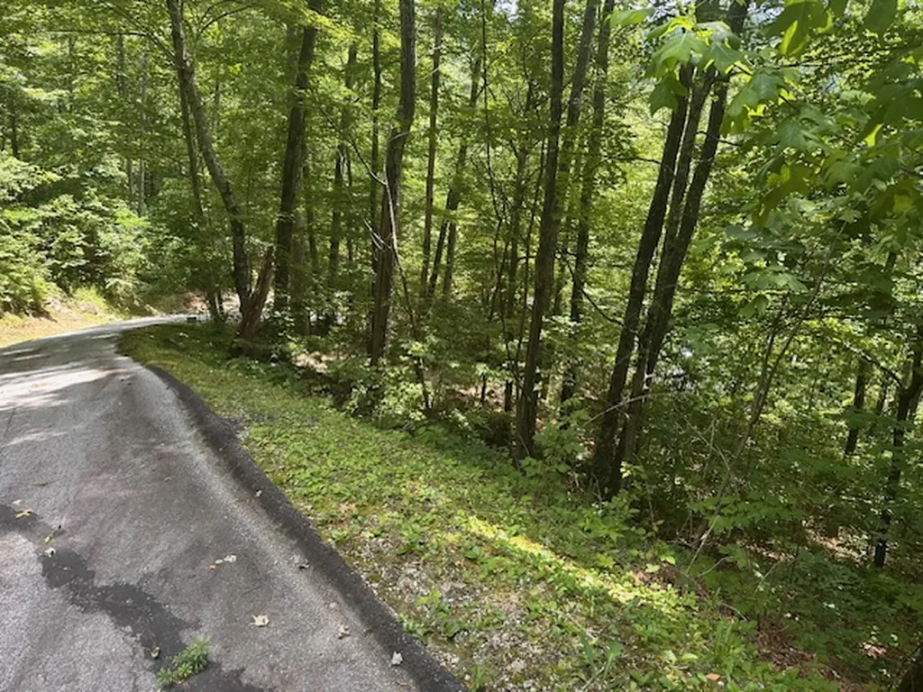 Tbd Bold Creek Trail Glenville NC 28736