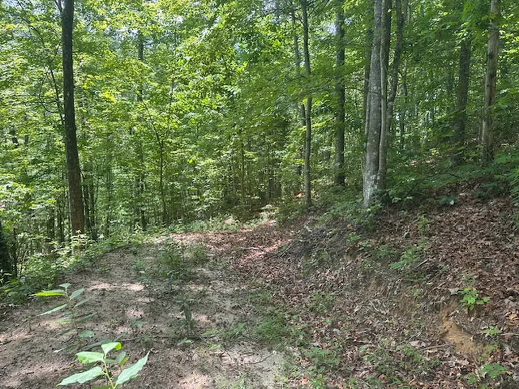 Tbd Bold Creek Trail Glenville NC 28736