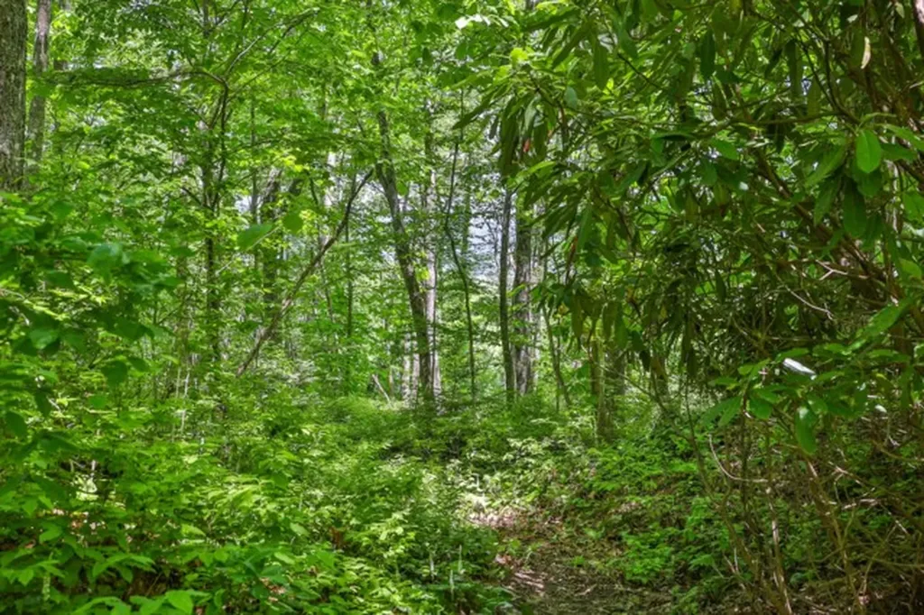 Lot 2 Hardscrabble Ridge Road Highlands NC 28741