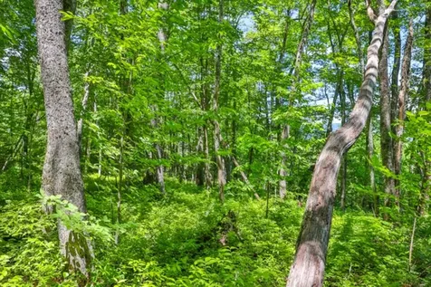 Lot 2 Hardscrabble Ridge Road Highlands NC 28741