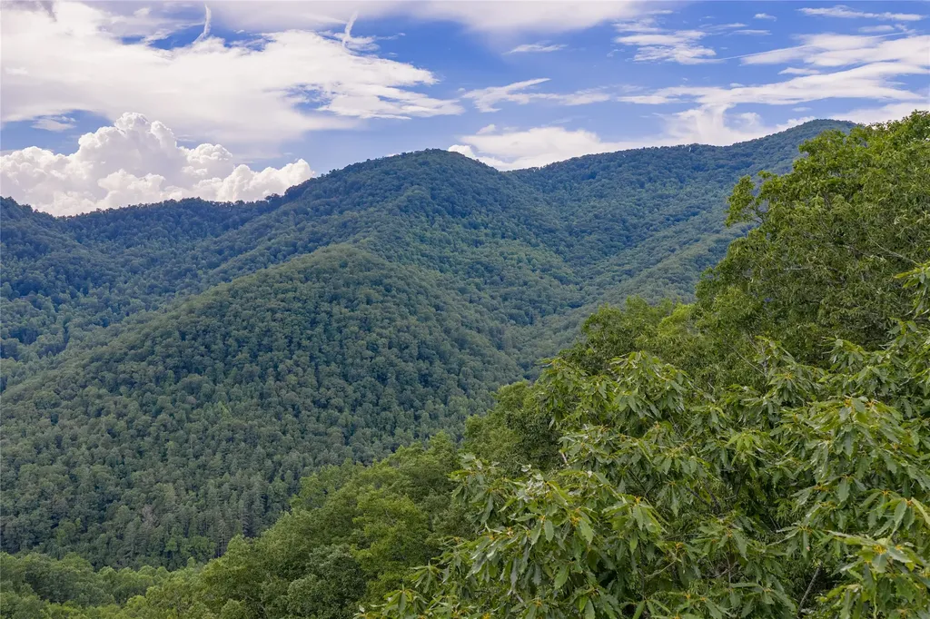 1152 Moses Creek Road Cullowhee NC 28723