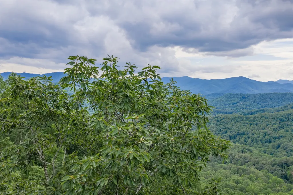 1152 Moses Creek Road Cullowhee NC 28723