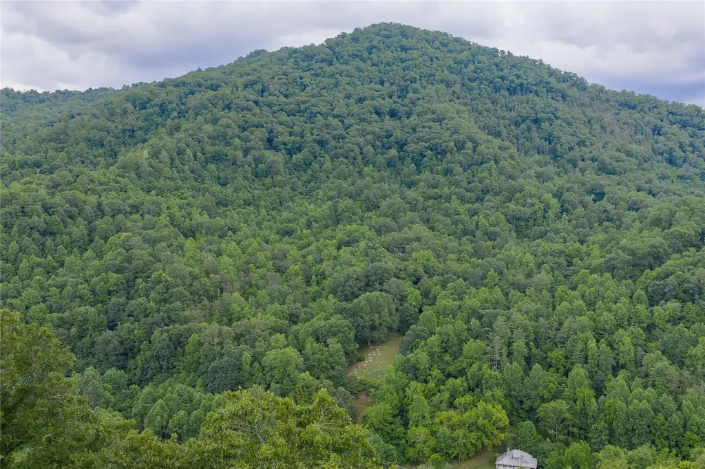 1152 Moses Creek Road Cullowhee NC 28723