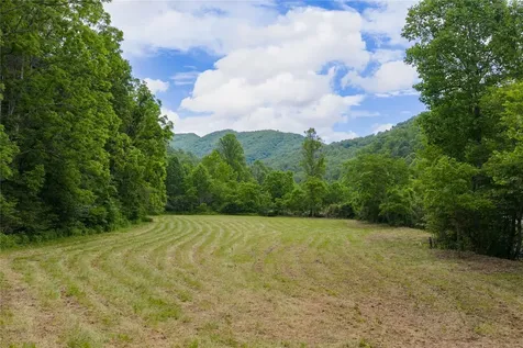 1152 Moses Creek Road Cullowhee NC 28723
