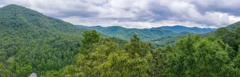 1152 Moses Creek Road Cullowhee NC 28723