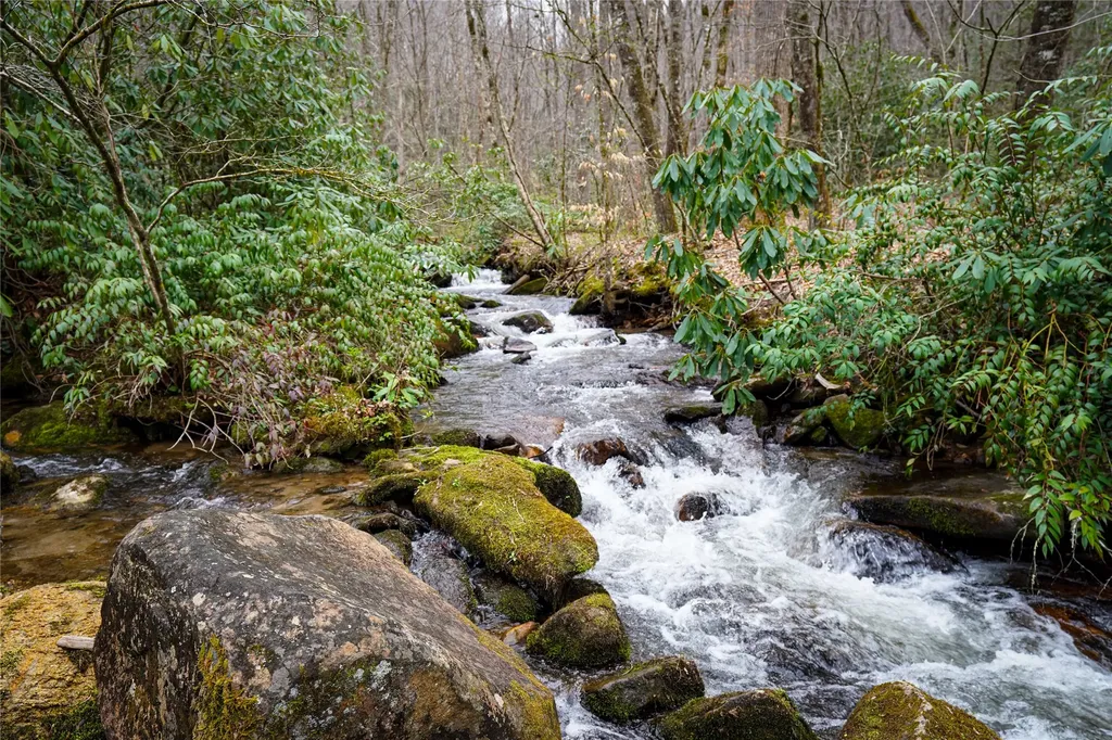 1005 Trout Creek Road Tuckasegee NC 28783