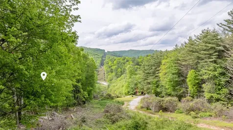 14 Receptive Drive Glenville NC 28736