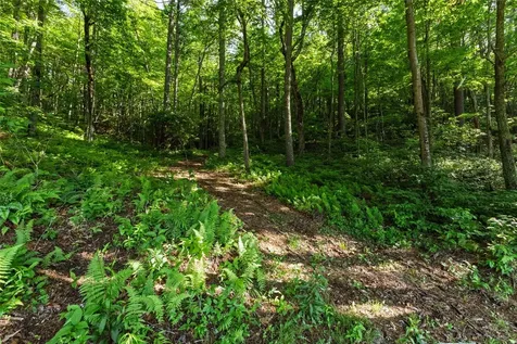 560 Salt Rock Road Cullowhee NC 28723