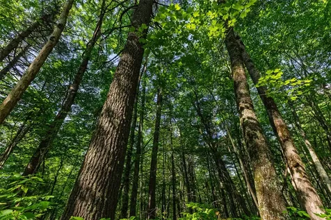 560 Salt Rock Road Cullowhee NC 28723