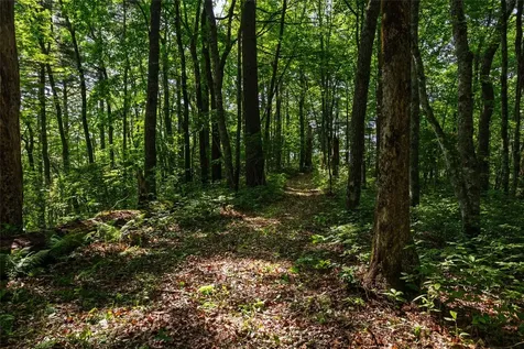 560 Salt Rock Road Cullowhee NC 28723