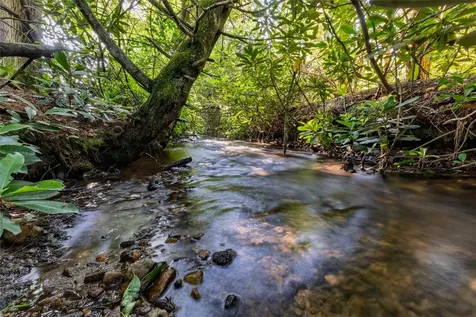 560 Salt Rock Road Cullowhee NC 28723