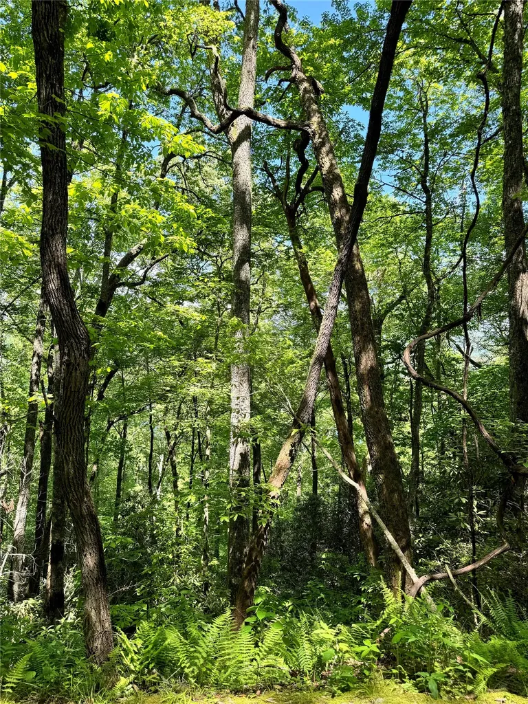 Lot 2 Glenshore Drive Cullowhee NC 28723