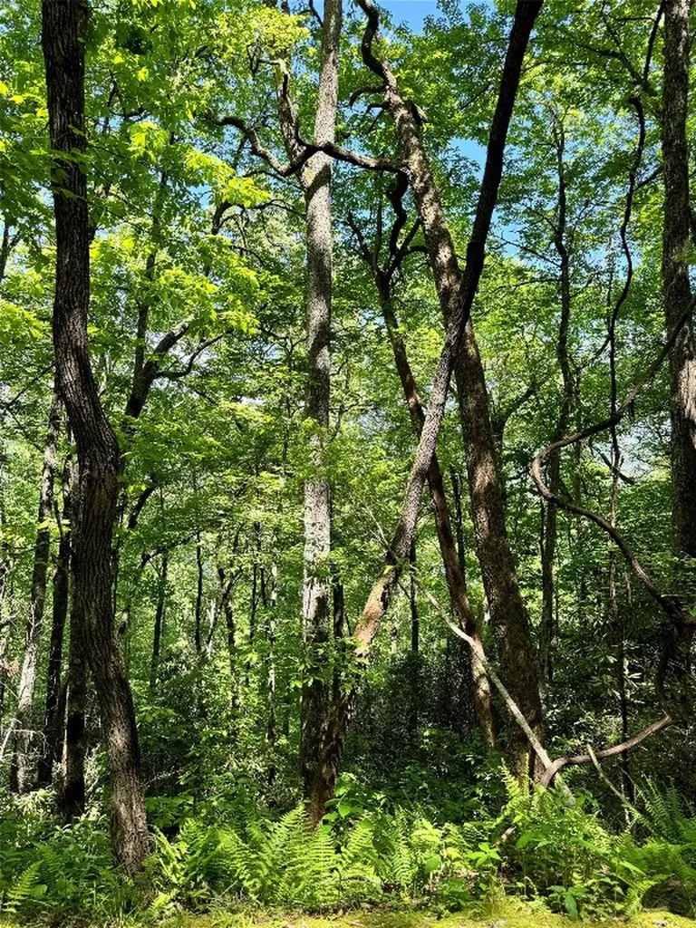 Lot 2 Glenshore Drive Cullowhee NC 28723