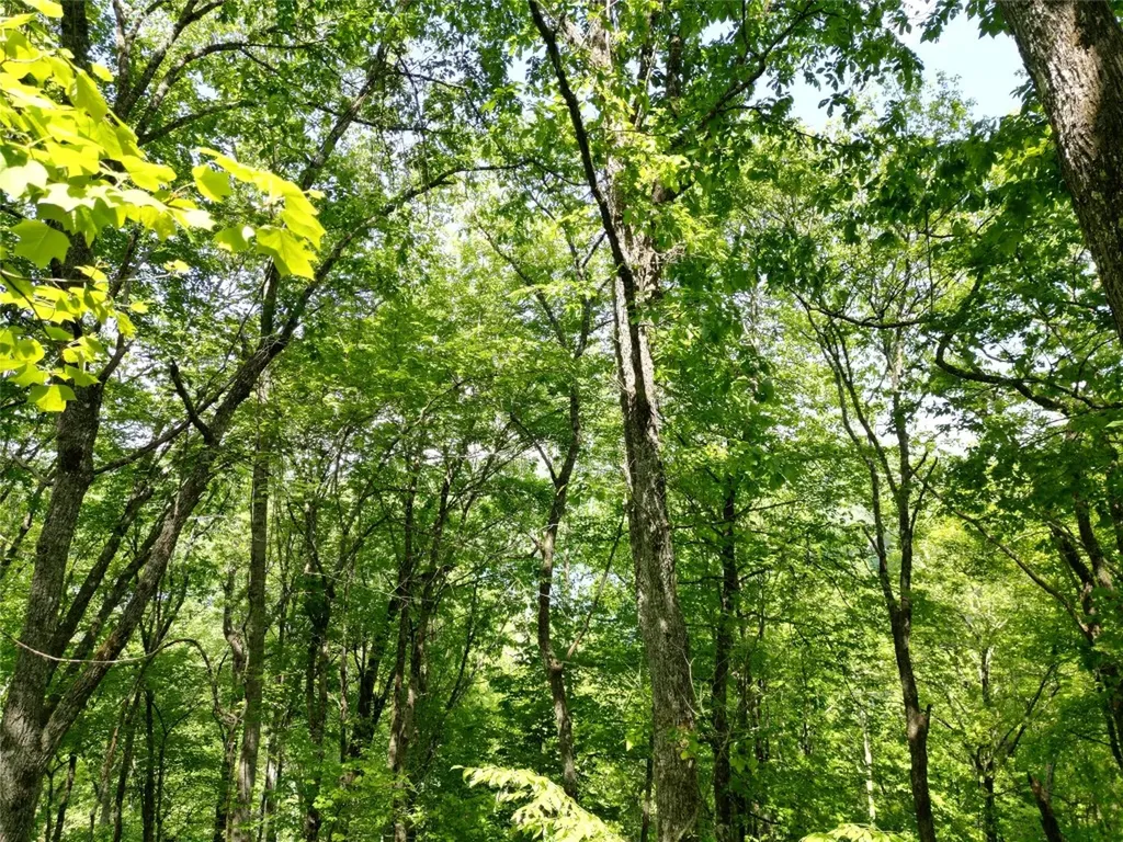 Lot 2 Glenshore Drive Cullowhee NC 28723