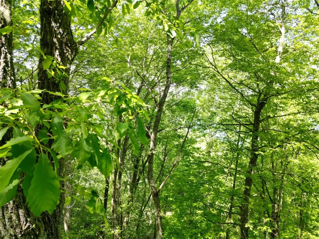 Lot 2 Glenshore Drive Cullowhee NC 28723