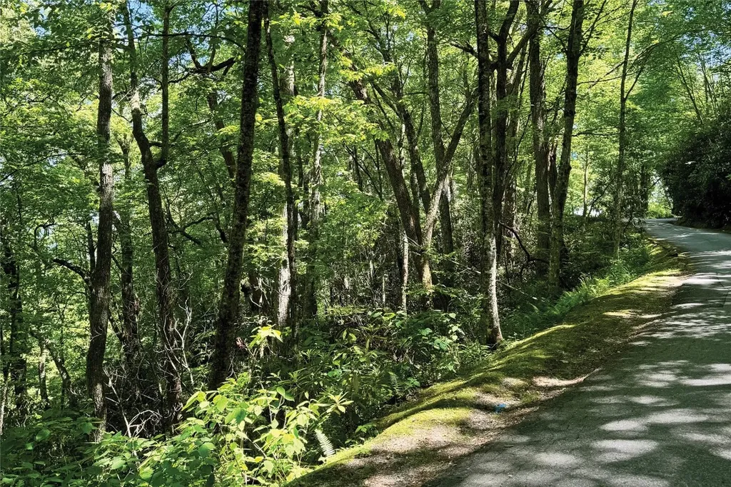 Lot 2 Glenshore Drive Cullowhee NC 28723
