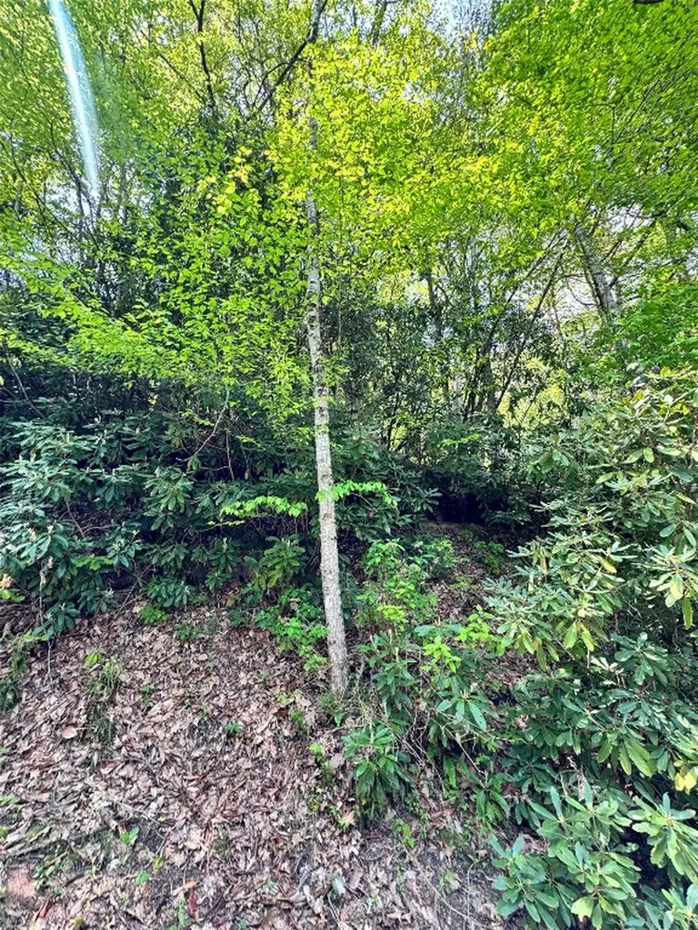 Lot 2 Glenshore Drive Cullowhee NC 28723