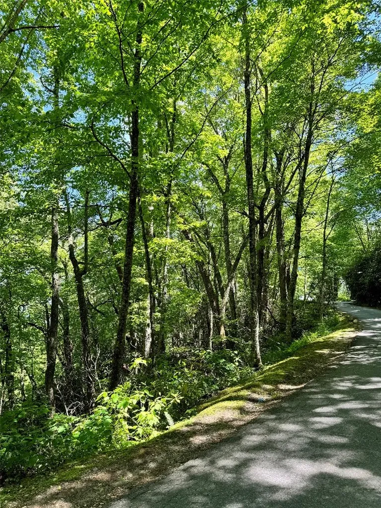 Lot 2 Glenshore Drive Cullowhee NC 28723
