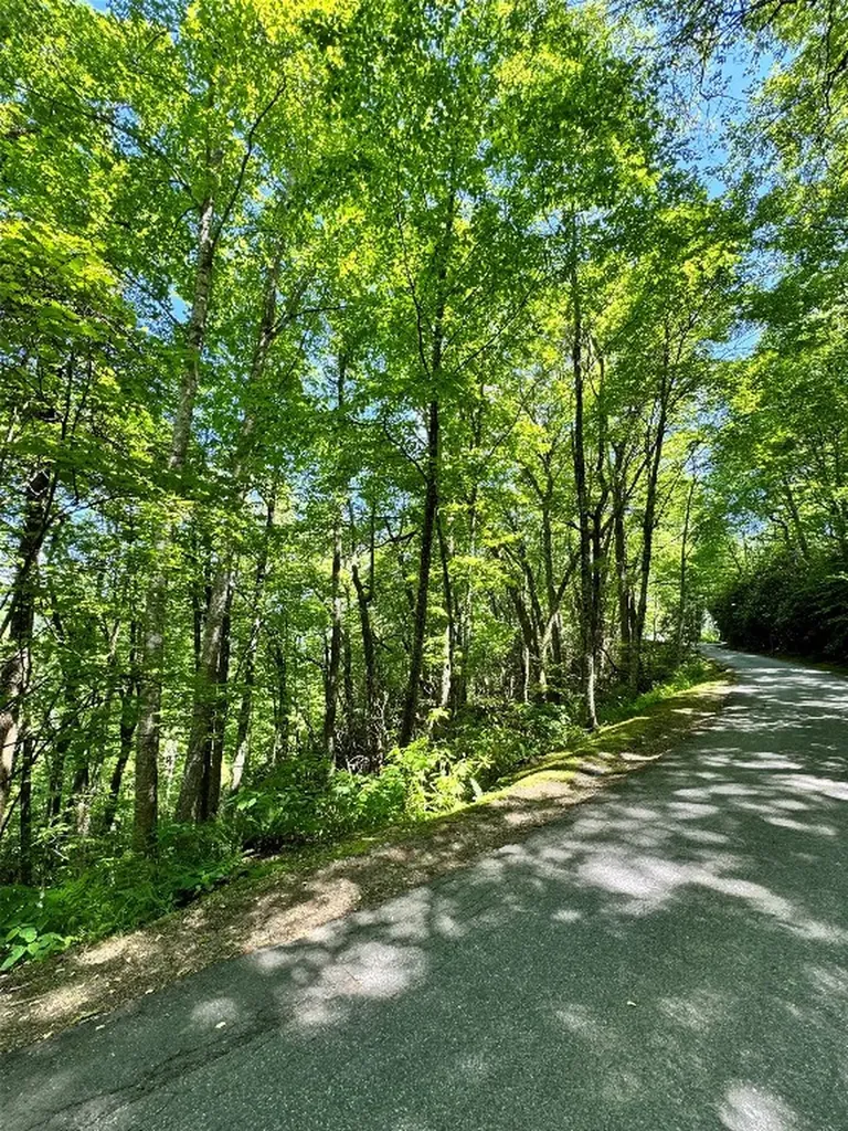 Lot 2 Glenshore Drive Cullowhee NC 28723