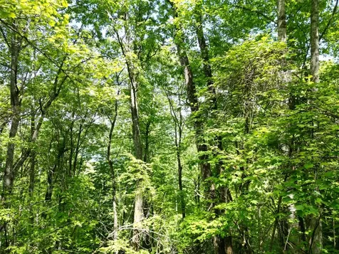 Lot 2 Glenshore Drive Cullowhee NC 28723