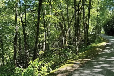 Lot 2 Glenshore Drive Cullowhee NC 28723