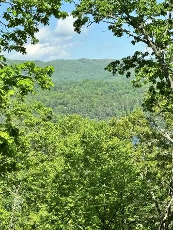 Lot 2 Glenshore Drive Cullowhee NC 28723