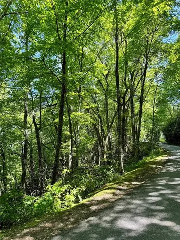 Lot 2 Glenshore Drive Cullowhee NC 28723