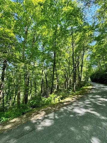 Lot 2 Glenshore Drive Cullowhee NC 28723