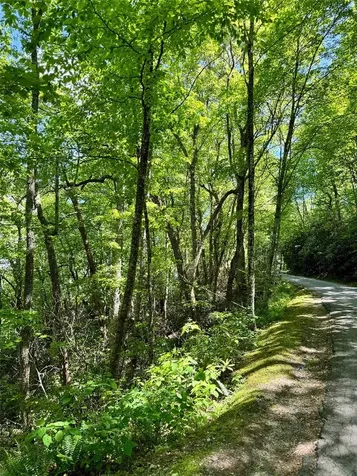 Lot 2 Glenshore Drive Cullowhee NC 28723