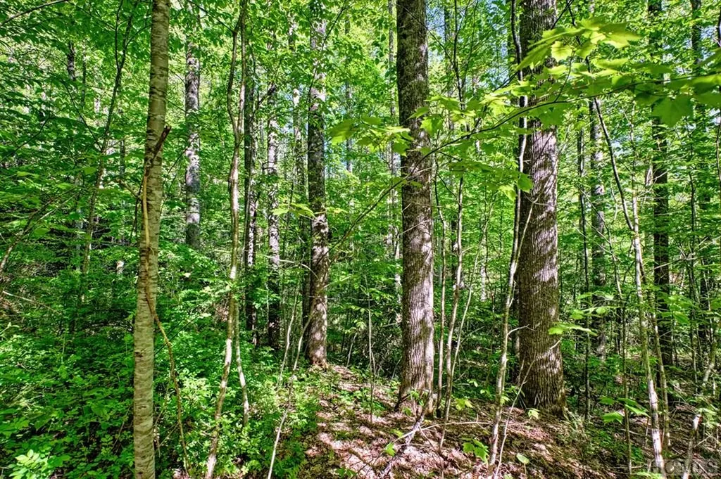 75 Gunpoint Road Cullowhee NC 28723