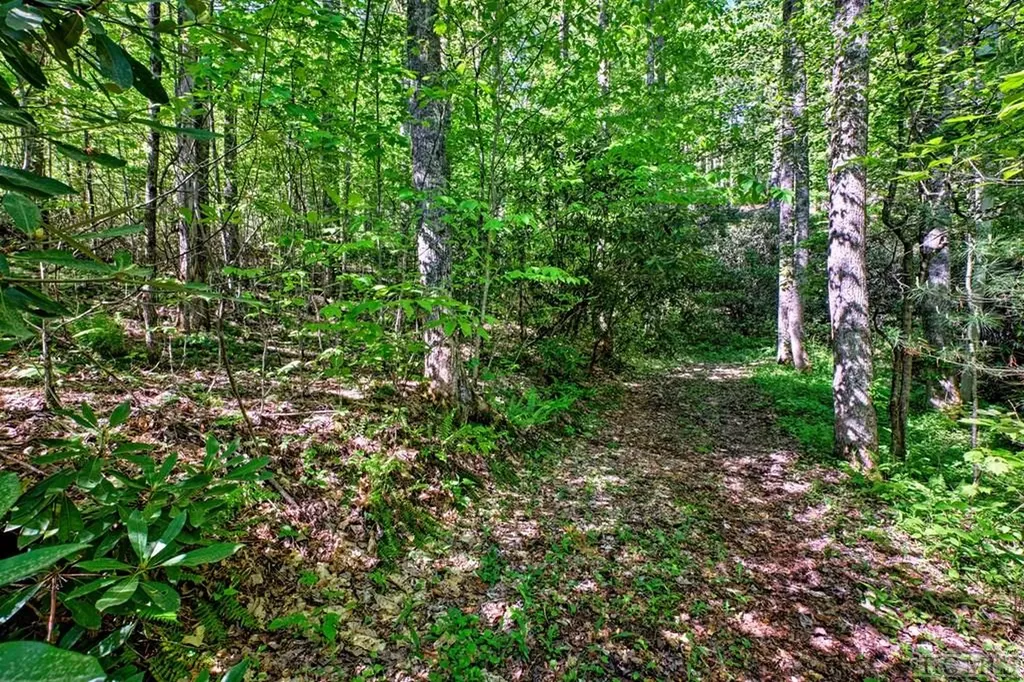 75 Gunpoint Road Cullowhee NC 28723