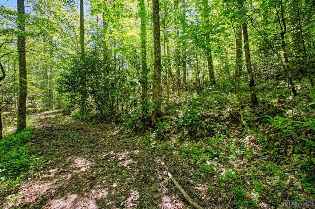 75 Gunpoint Road Cullowhee NC 28723