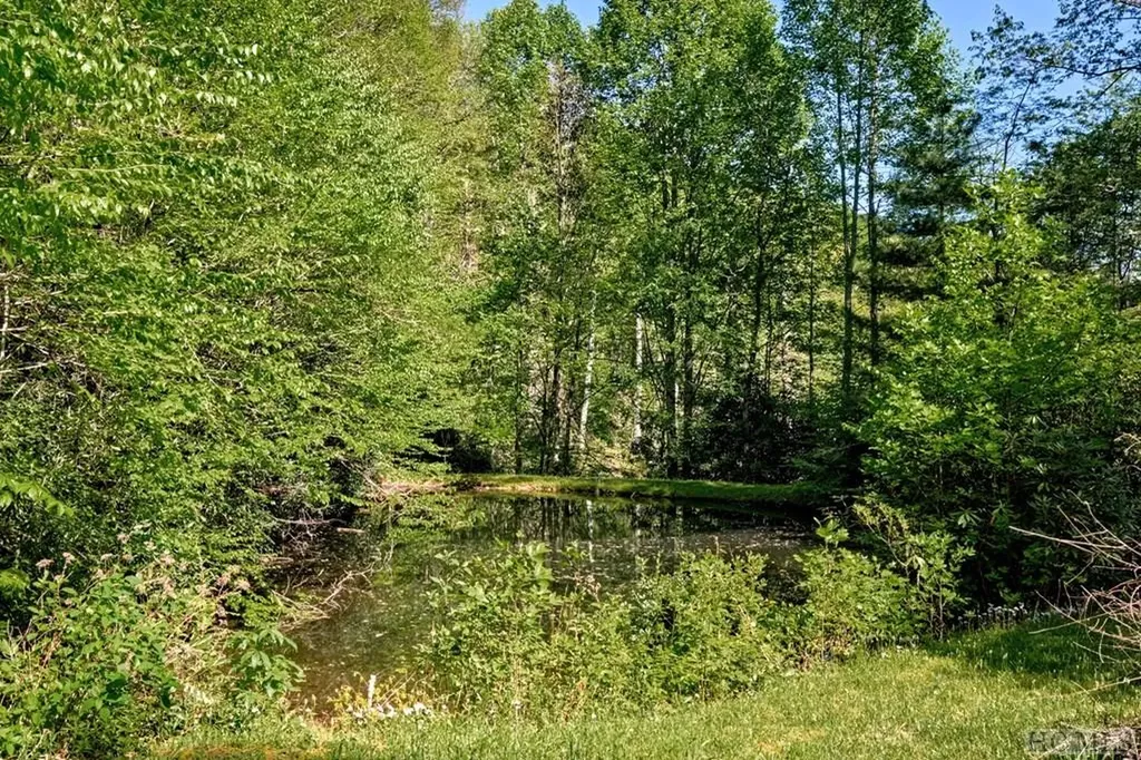75 Gunpoint Road Cullowhee NC 28723
