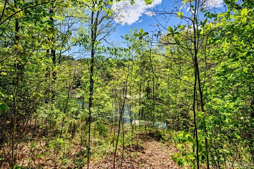 75 Gunpoint Road Cullowhee NC 28723