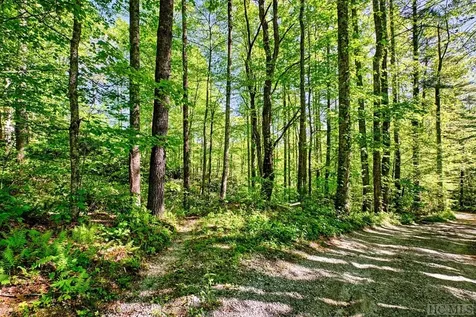 75 Gunpoint Road Cullowhee NC 28723