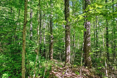 75 Gunpoint Road Cullowhee NC 28723