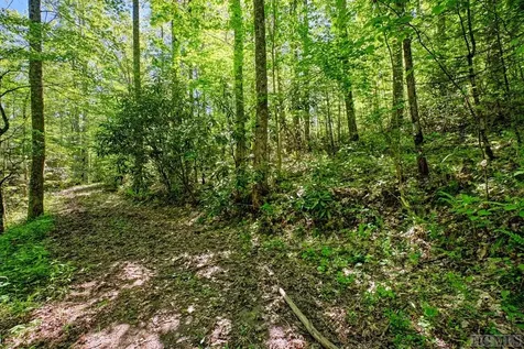 75 Gunpoint Road Cullowhee NC 28723