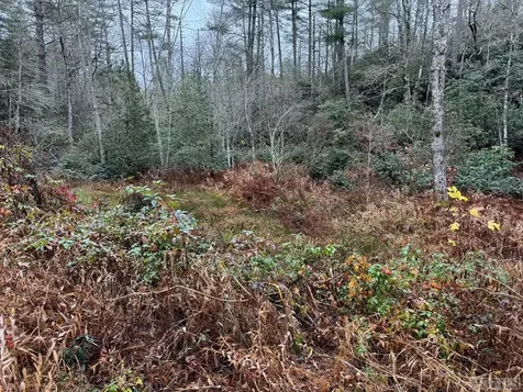 5090 Horse Cove Road Highlands NC 28741