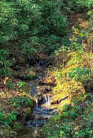 Lot 18 Orchard Way Sapphire NC 28774