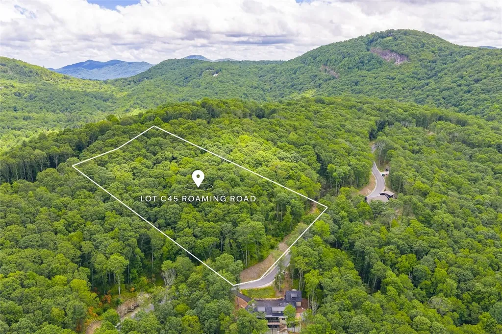 C45 Roaming Road Glenville NC 28736