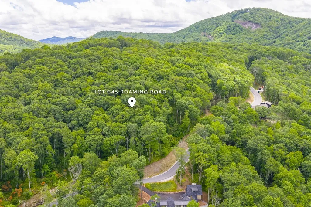 C45 Roaming Road Glenville NC 28736