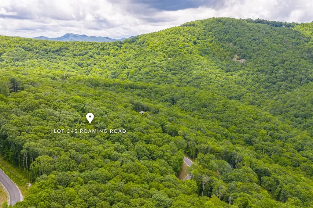 C45 Roaming Road Glenville NC 28736