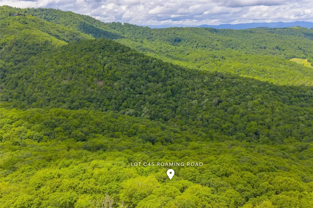 C45 Roaming Road Glenville NC 28736