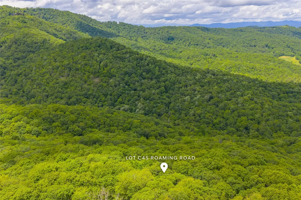 C45 Roaming Road Glenville NC 28736